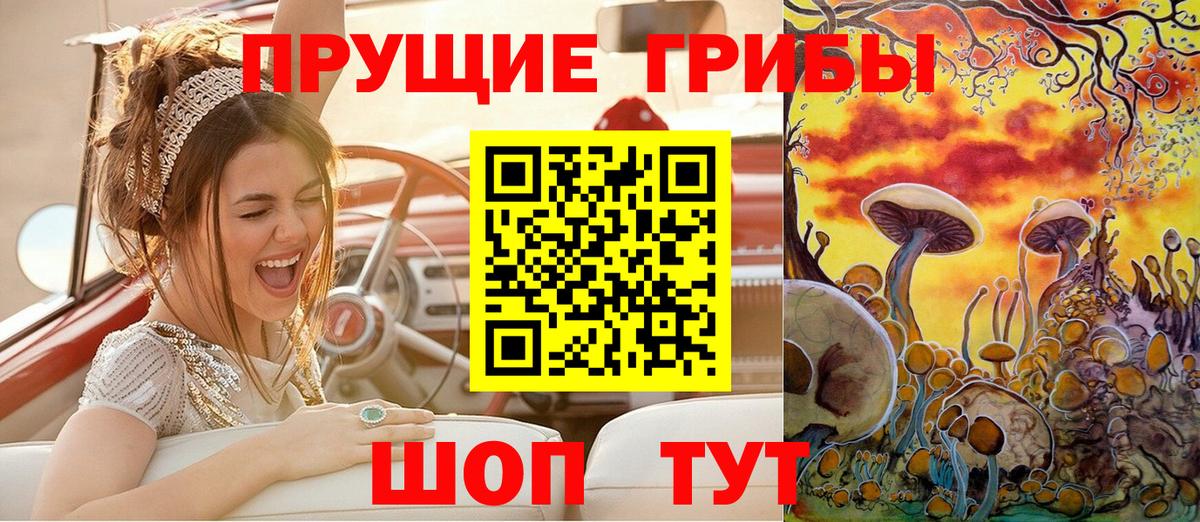 Галлюциногенные грибы GOLDEN TEACHER Зима