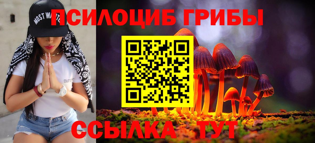 закладки  Псилоцибиновые грибы Magic Shrooms  Вход с VPN  Зима  Псилоцибиновые грибы Psilocybine cubensis 